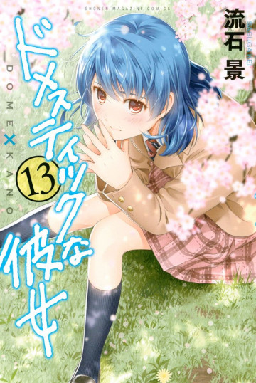 ドメスティックな彼女 13