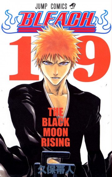 BLEACH カラー版 19