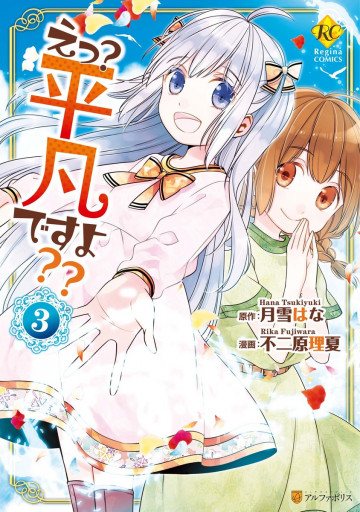 えっ? 平凡ですよ?? 3