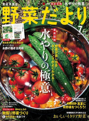 野菜だより2017年7月号 