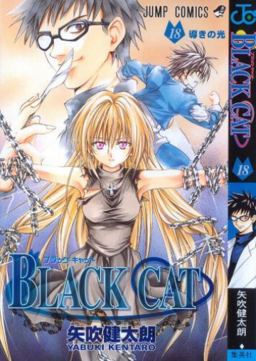 Black cat 18