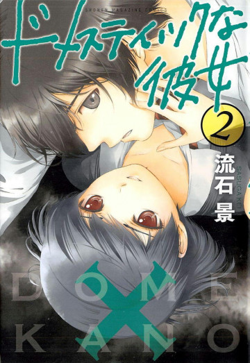 ドメスティックな彼女 2