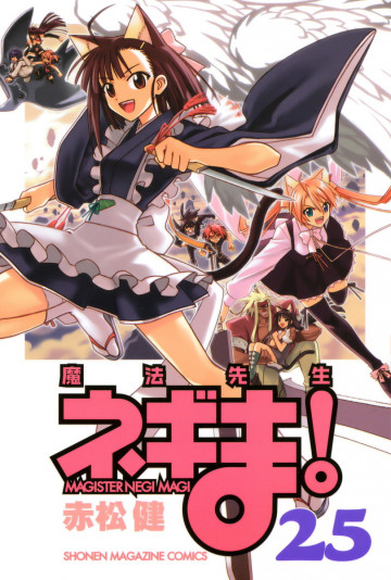 魔法先生ネギま! 25