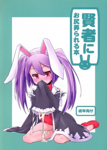 賢者にお尻弄られる本 