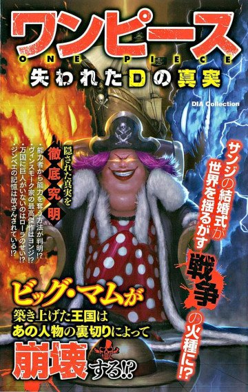 ワンピース 失われたDの真実 
