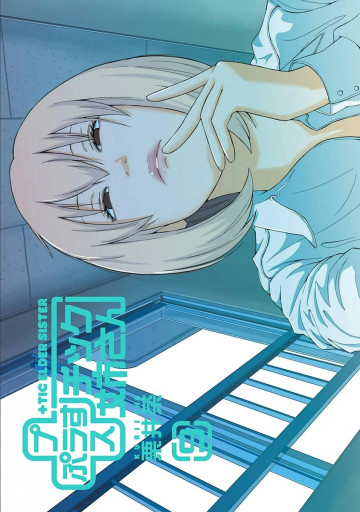 +チック姉さん 9