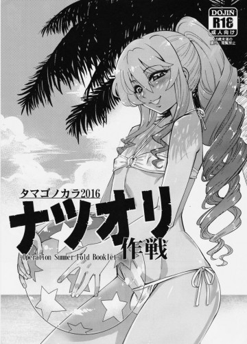 ナツオリ作戦 -Operation Summer Fold Booklet- 