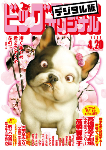 ビッグコミックオリジナル 2017年8号 
