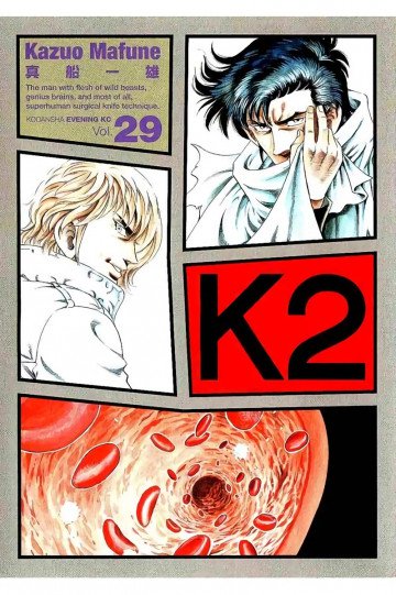 K2 29