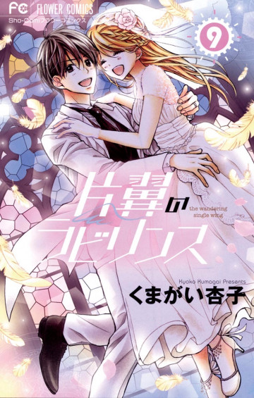 片翼のラビリンス 9