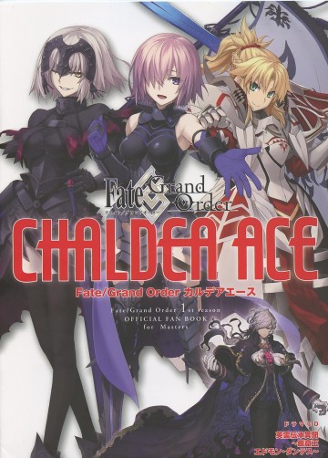 Fate/Grand Order カルデアエース 