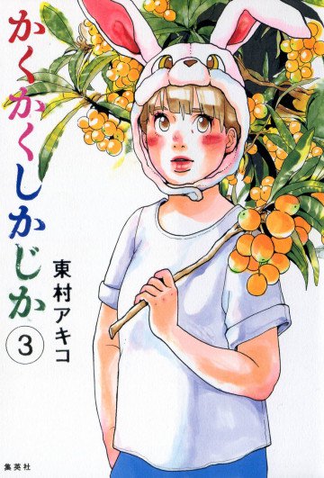 かくかくしかじか 3