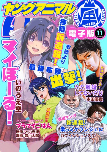 ヤングアニマル嵐No.11(2017年) 